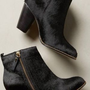 Black calf hair Klub Nico Anthropologie botties